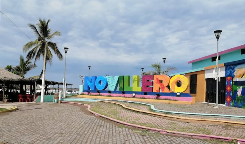 Novillero