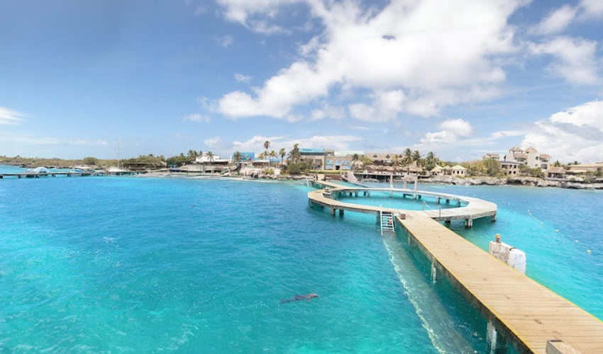Dolphin Discovery, Isla Mujeres