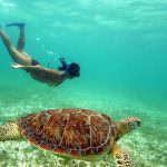 Free Mexico Travel Guide and Travel Information