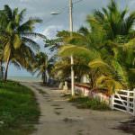 Free Mexico Travel Guide and Travel Information