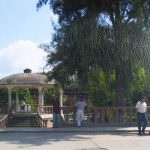 Free Mexico Travel Guide and Travel Information