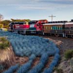 Free Mexico Travel Guide and Travel Information