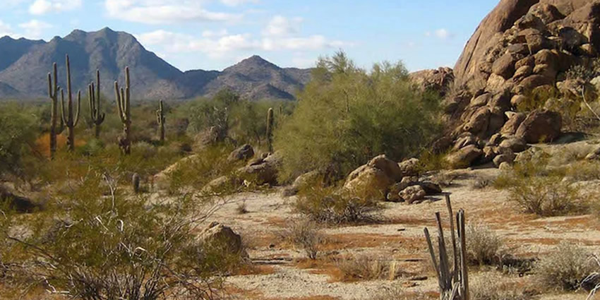 Exploring the Northern Region of Mexico