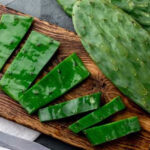 Free Mexico Travel Guide and Travel Information