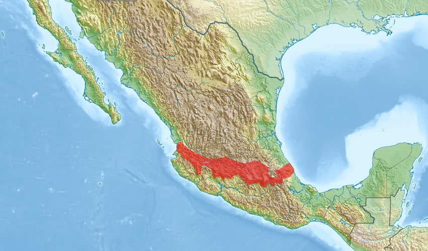 Trans-Mexican Volcanic Belt