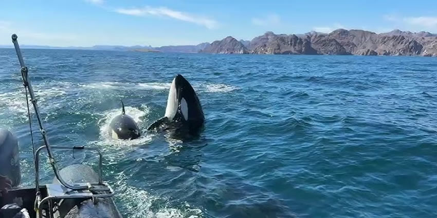 Baja California Sur