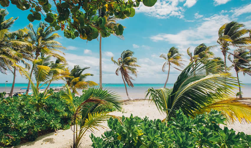 Costa Maya