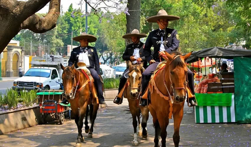 Mounted Police in Mexico City