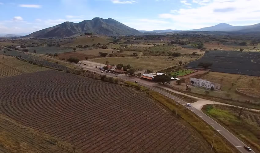 Jalisco Road Trip