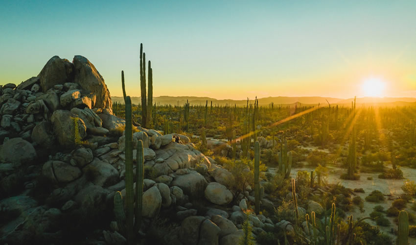 Catavina, Baja California