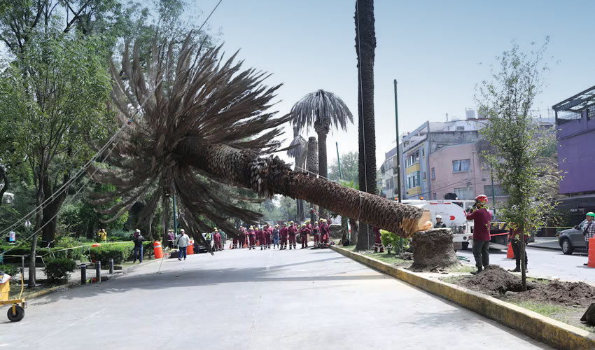 Mexico City