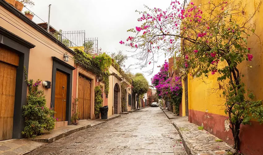 Coyoacan, Mexico City